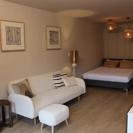 Maison Cote - Moderne Met Prive Tuin, Nabij & Circuit * Zandvoort