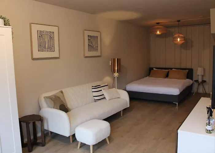 Maison Cote - Moderne Met Prive Tuin, Nabij & Circuit * Zandvoort